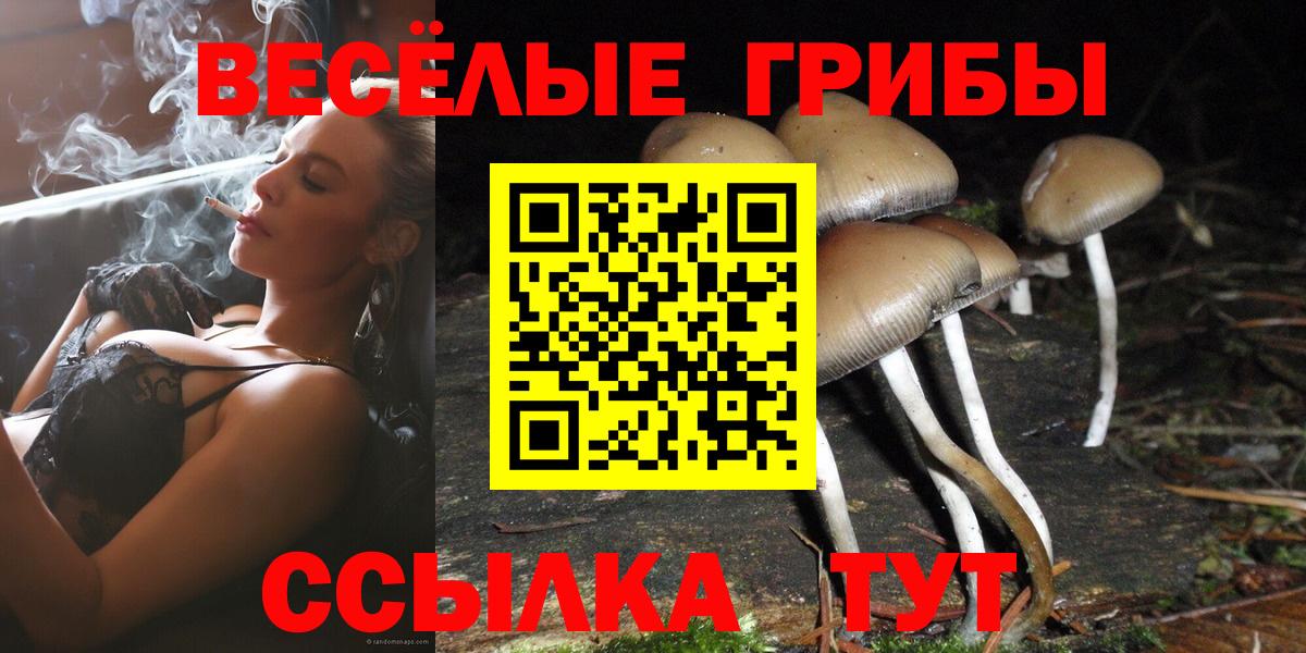 Галлюциногенные грибы прущие грибы Смоленск